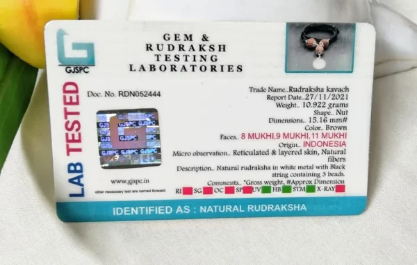 Kalsarpa Rudraksha Mala Certificate