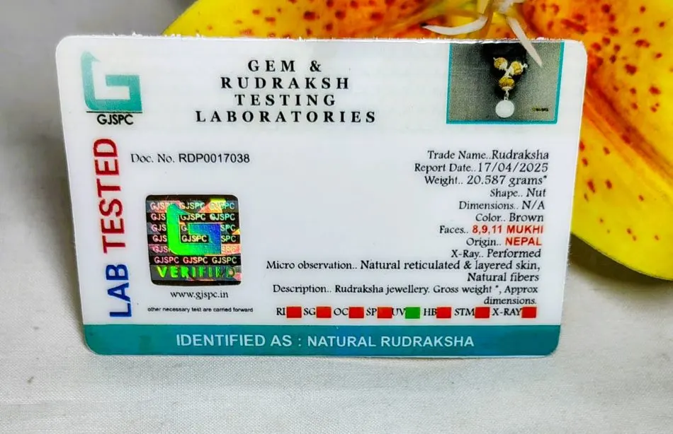 Kalsarpa Rudraksha Mala Certificate