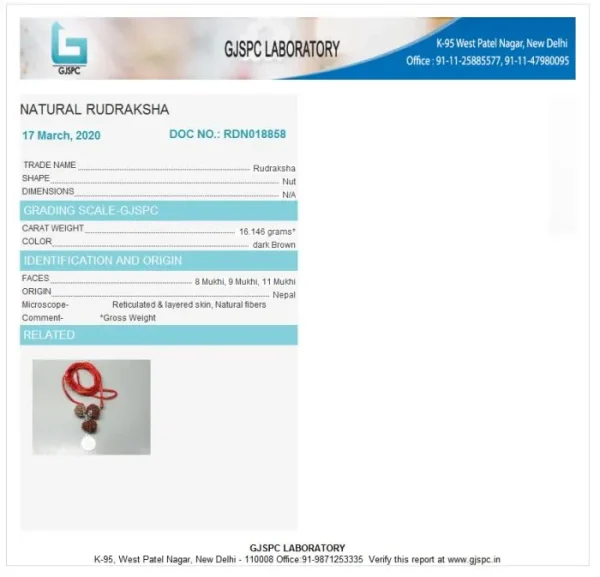 Kalsarpa Rudraksha Mala Certificate