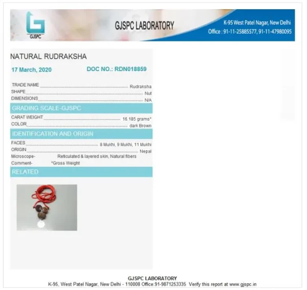 Kalsarpa Rudraksha Mala Certificate