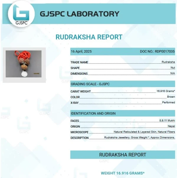 Kalsarpa Rudraksha Mala Certificate