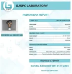 Kalsarpa Rudraksha Mala Certificate