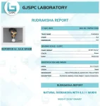 Kalsarpa Rudraksha Mala Certificate
