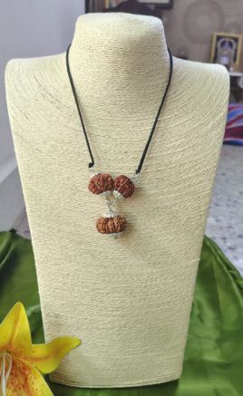 Kalsarpa Rudraksha