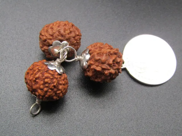 Kalsarpa Rudraksha