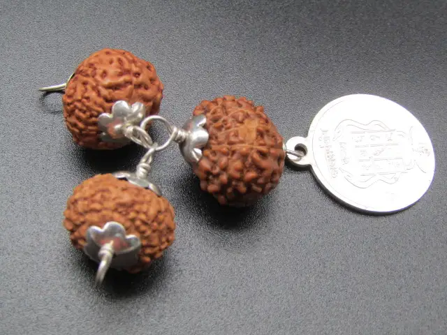 Kalsarpa Rudraksha