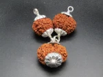 Kalsarpa Rudraksha