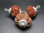 Kalsarpa Rudraksha