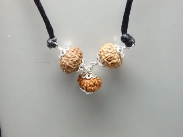 Kalsarpa Rudraksha