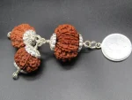 Kalsarpa Rudraksha