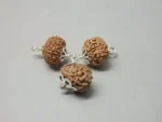 Kalsarpa Rudraksha Mala