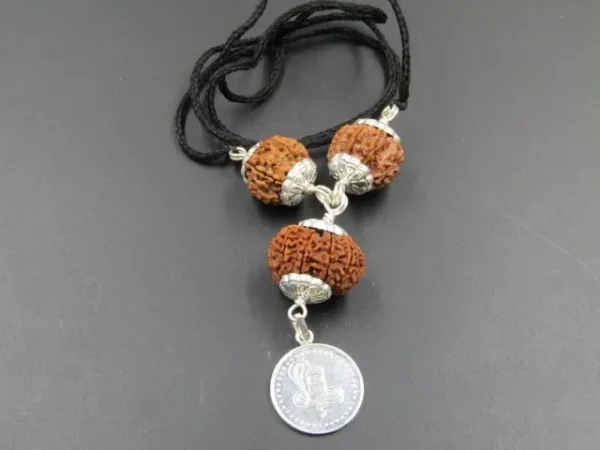 Kalsarpa Rudraksha Mala
