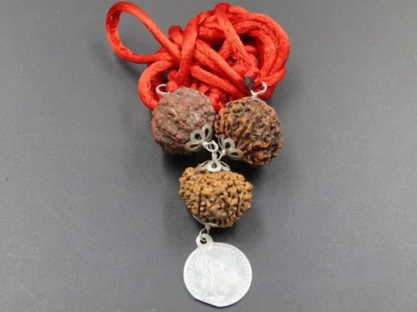 Kalsarpa Rudraksha Mala