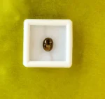 Cat’s Eye (Lahasunia)