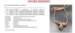 Maha Gyan Mala Certificate