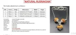 Maha Gyan Rudraksha Mala Certificate