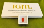 Red Coral (Moonga) Certificate