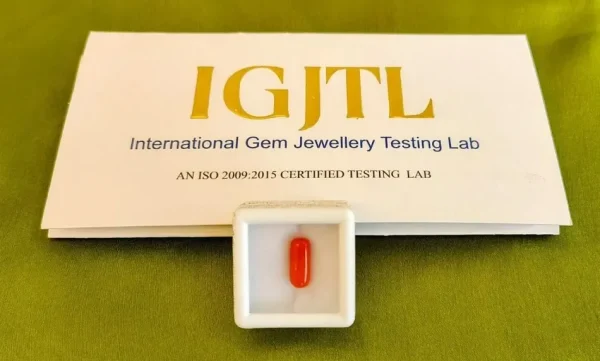 Red Coral (Moonga) Certificate