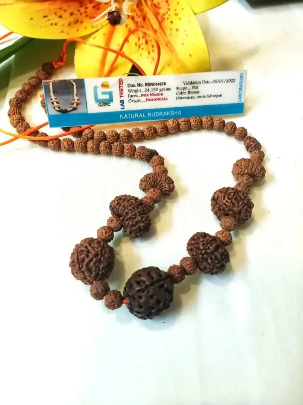 Navagraha Rudraksha Mala