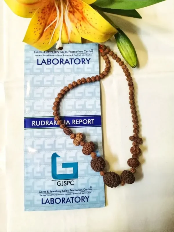 Navagraha Rudraksha Mala