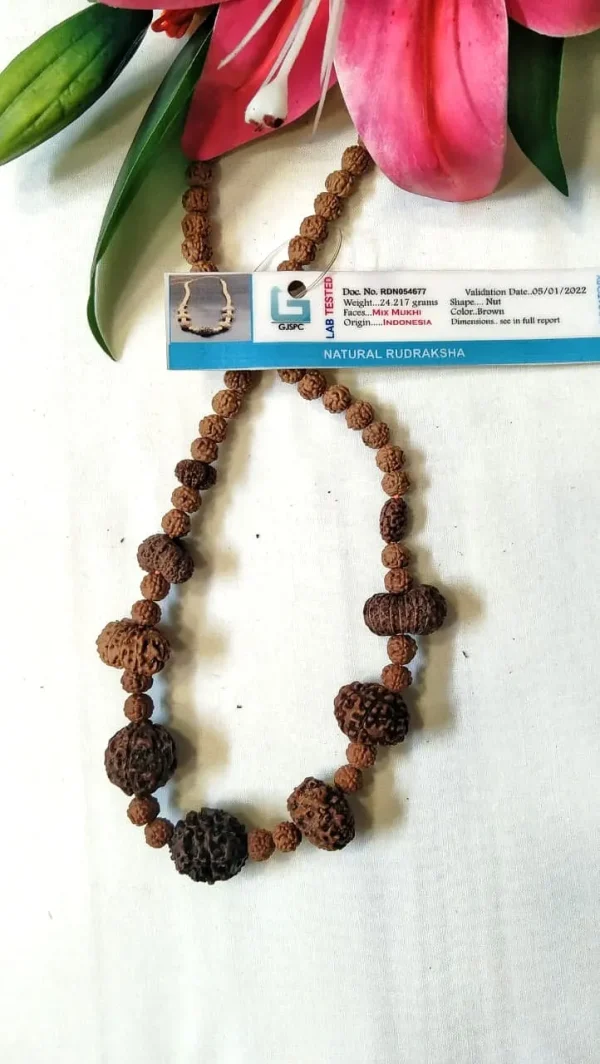 Navagraha Rudraksha Mala