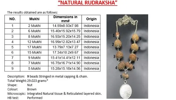Navagraha Rudraksha Mala Certificate