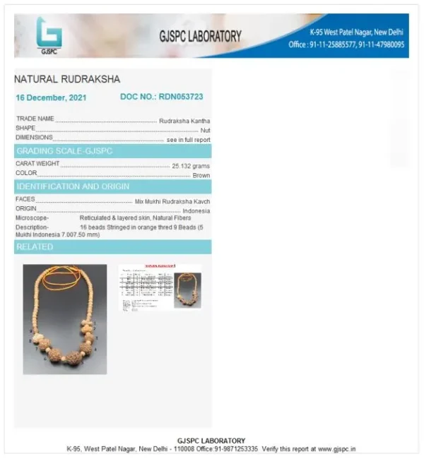 Navagraha Rudraksha Mala Certificate