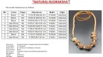Navagraha Rudraksha Mala Certificate