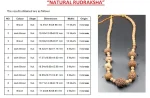 Navagraha Rudraksha Mala Certificate