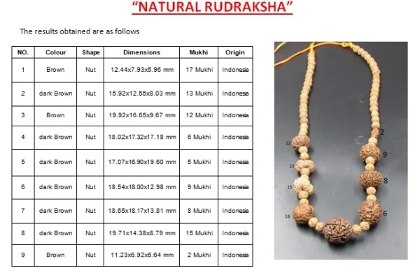 Navagraha Rudraksha Mala Certificate