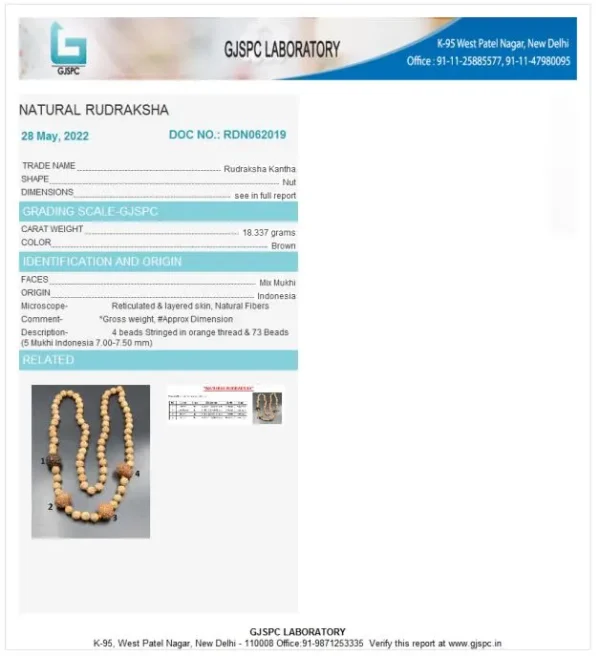 Prem Rudraksha Mala Certificate