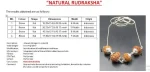 Prem Rudraksha Mala Certificate