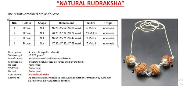 Prem Rudraksha Mala Certificate