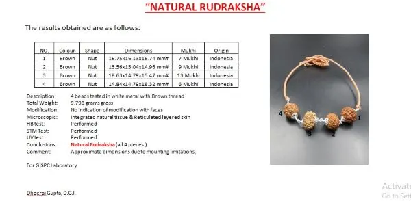 Prem Rudraksha Mala Certificate