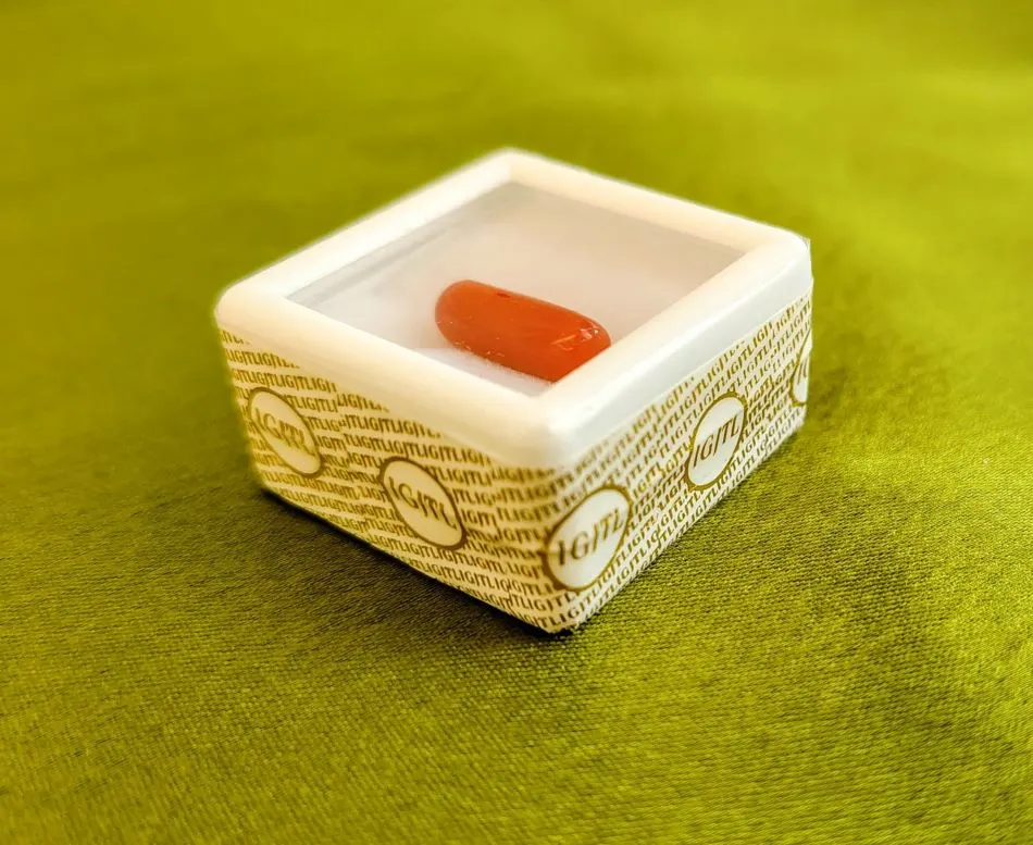 Red Coral (Moonga)