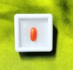 Red Coral