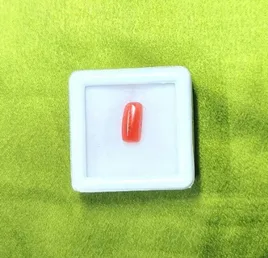 Red Coral