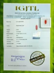 Red Coral Certificate