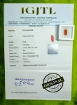 Red Coral Certificate