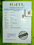 Red Coral Certificate
