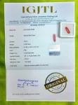 Red Coral Certificate