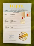 Red Coral (Moonga) Certificate