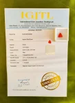 Red Coral (Moonga) Certificate
