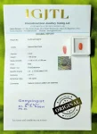 Red Coral Certificate