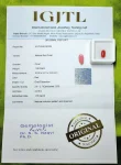 Red Coral Certificate