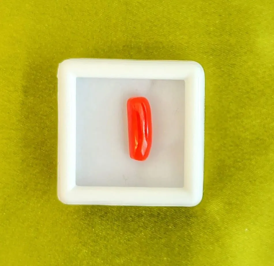Red Coral (Moonga)