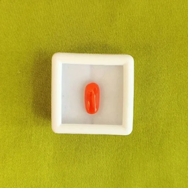 Red Coral (Moonga)