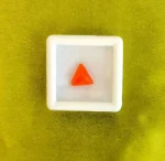 Red Coral (Moonga)