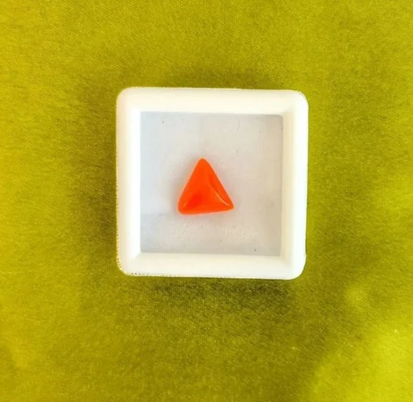 Red Coral (Moonga)
