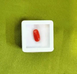 Red Coral